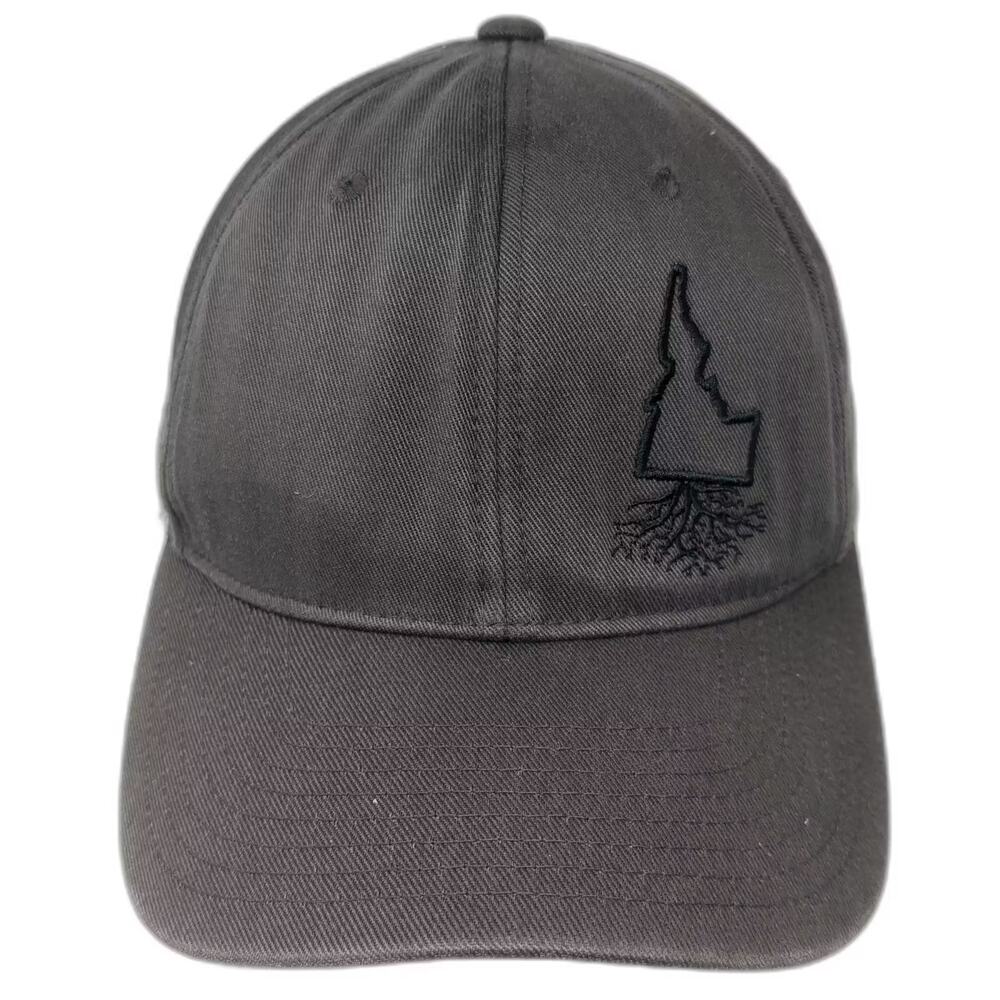 WYR Clothing Baseball Cap Gray M Idaho State Roots Flexfit Hat Embroidered